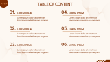 Law Firm Profile - Slide 2
