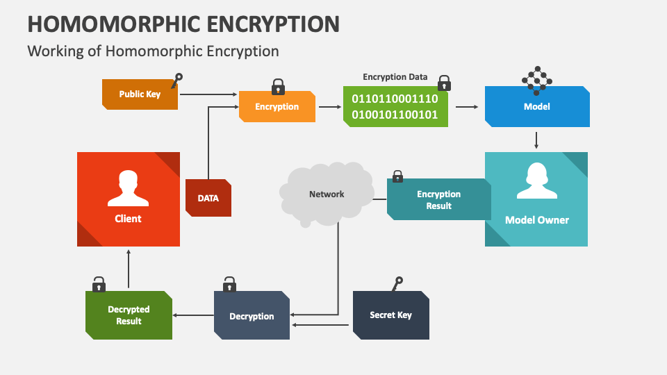 Homomorphic Encryption PowerPoint And Google Slides Template PPT Slides homomorphic-encryption-algorithm-projects-cloud-computing-network