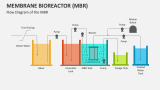 Flow Diagram of the Membrane Bioreactor (MBR) - Slide 2