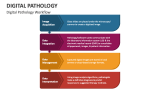 Digital Pathology Workflow - Slide 3