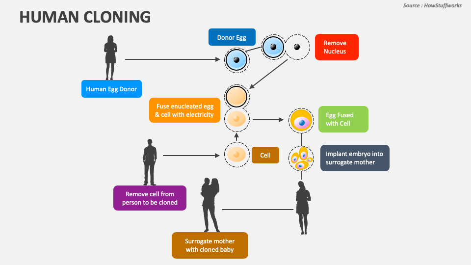 Unit 6 Me and Another Me (Human Cloning) - ppt download