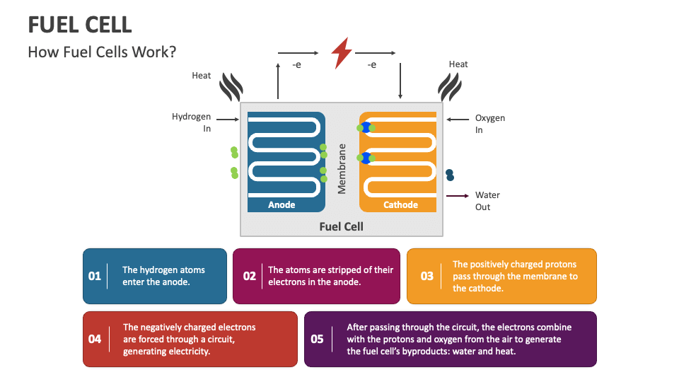 Fuel Cell PowerPoint Presentation Slides Biology Diagrams