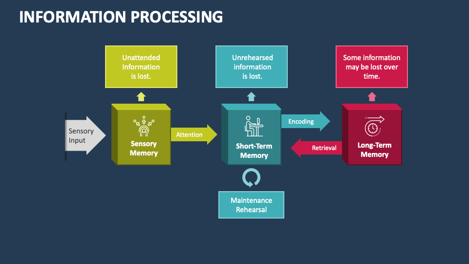 Information Processing PowerPoint Presentation Slides - PPT Template