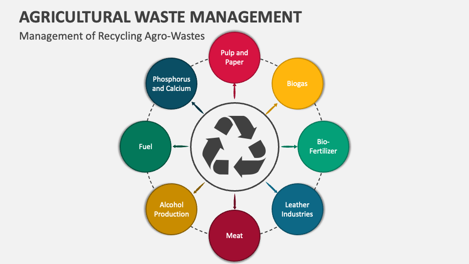 Agricultural Waste Management PowerPoint and Google Slides Template