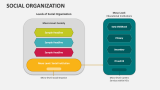 Social Organization - Slide 4