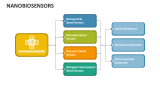 Nanobiosensors - Slide 1