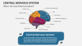 What is the Central Nervous System? - Slide 2