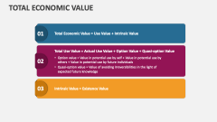 Total Economic Value - Slide 1