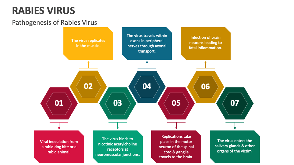rabies-virus-powerpoint-and-google-slides-template-ppt-slides