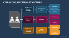 Hybrid Organization Structure - Slide 1