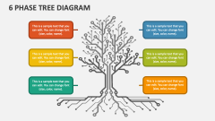 6 Phase Tree Diagram - Slide
