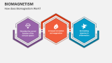 How does Biomagnetism Work? - Slide 3
