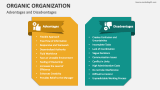 Advantages and Disadvantages of Organic Organization - Slide 5