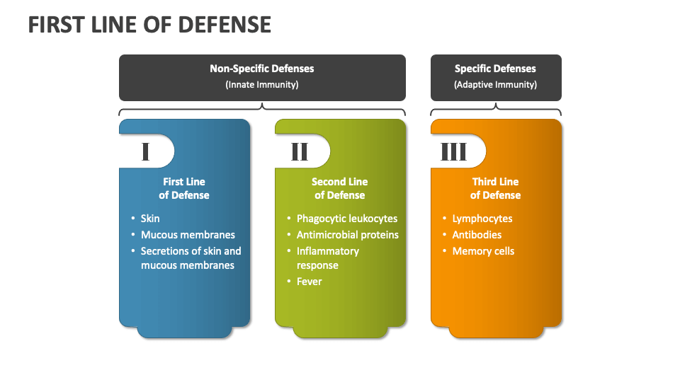 First Line of Defense PowerPoint Presentation Slides - PPT Template