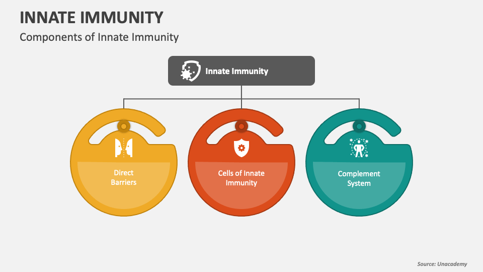 Innate Immunity PowerPoint Presentation Slides - PPT Template