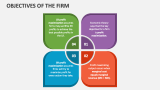 Objectives of the Firm - Slide 3