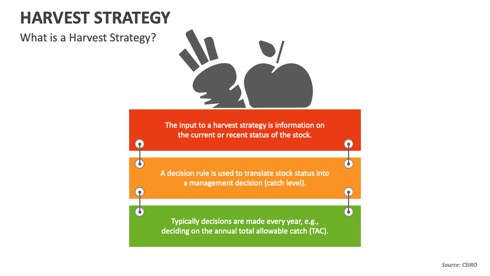 Harvest Strategy PowerPoint Presentation Slides PPT Template