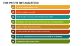 For Profit Organization - Slide 3