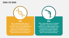 DNA Vs RNA - Slide 1