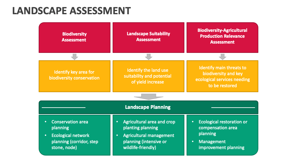 Landscape Assessment PowerPoint and Google Slides Template PPT Slides