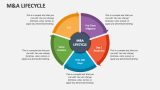 M&A Lifecycle - Slide 3
