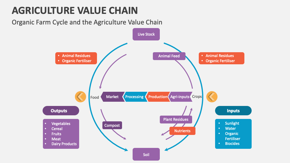 Agriculture value chain powerpoint and google slides template ppt slides