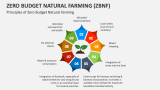 Principles of Zero Budget Natural Farming (ZBNF) - Slide 3