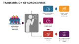 Transmission of Coronavirus - Slide 2