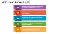 Gesell Maturation Theory - Slide 1