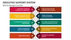 Why Do Managers Use Executive Support System? - Slide 1
