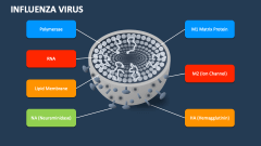Influenza Virus - Slide 1