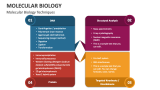 Molecular Biology PowerPoint and Google Slides Template - PPT Slides