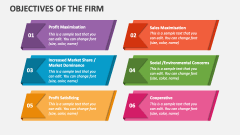 Objectives of the Firm - Slide 1
