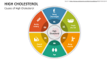 Causes of High Cholesterol - Slide 3