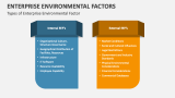 Types of Enterprise Environmental Factor - Slide 4