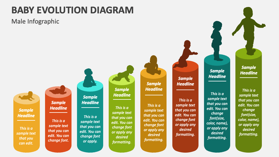 Baby Evolution Diagram PowerPoint Presentation Slides PPT Template