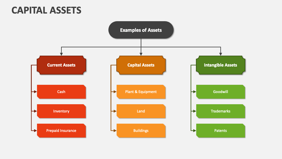 Capital Assets PowerPoint and Google Slides Template PPT Slides