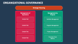 Organizational Governance - Slide 5