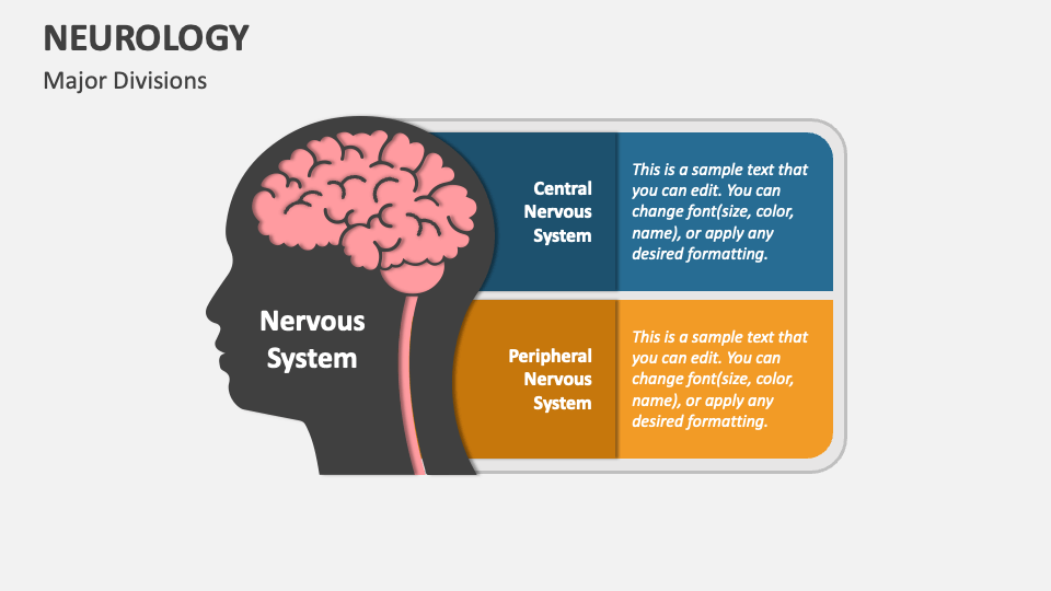 Neurology PowerPoint Presentation Slides PPT Template
