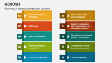 Features of the Human Nuclear Genome - Slide 3