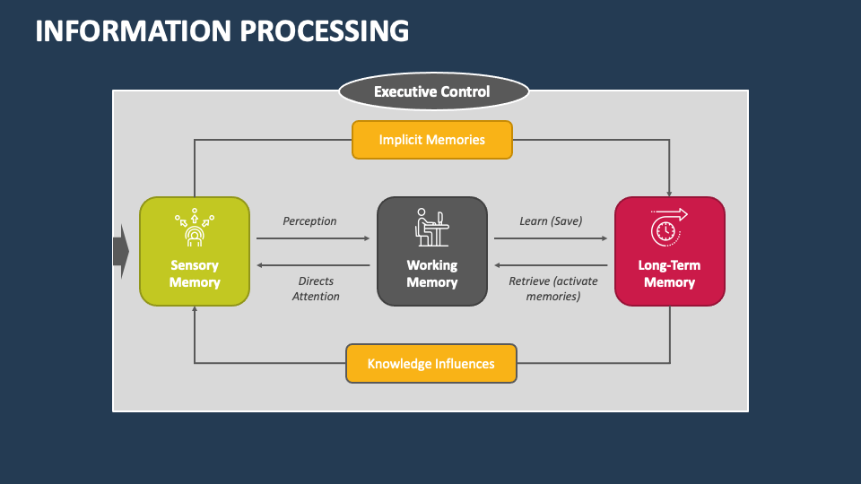 Information Processing PowerPoint Presentation Slides - PPT Template