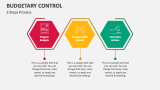 3 Steps Process of Budgetary Control - Slide 4