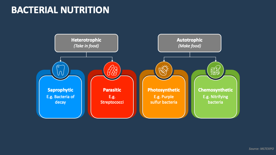 Bacterial Nutrition PowerPoint Presentation Slides PPT Template