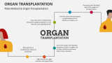 Risks Related to Organ Transplantation - Slide 4
