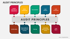 Audit Principles PowerPoint Presentation Slides - PPT Template