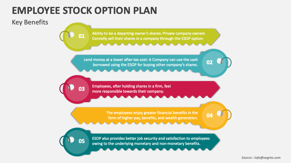 Employee Stock Option Plan PowerPoint Presentation Slides PPT Template