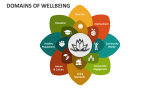 Domains of Wellbeing - Slide 3