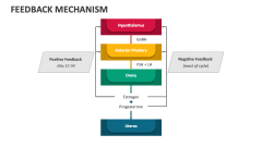 Feedback Mechanism - Slide 1