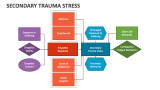 Secondary Trauma Stress - Slide 3