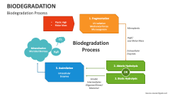 Biodegradation Process - Slide 1